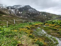 2. Tag - Naviser Almenrunde