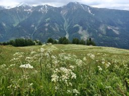 2. Tag - Naviser Almenrunde