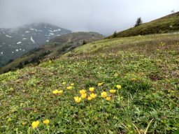 3. Tag - Brenner Grenzkamm