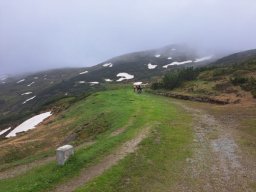 3. Tag - Brenner Grenzkamm