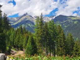 4. Tag - Blaserhütte + Gerichtsherrenalm