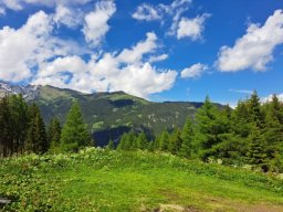 4. Tag - Blaserhütte + Gerichtsherrenalm