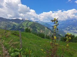 mtb-ausflug_2023_-_4_tag_weissensee-runde_7_20230630_1458904456